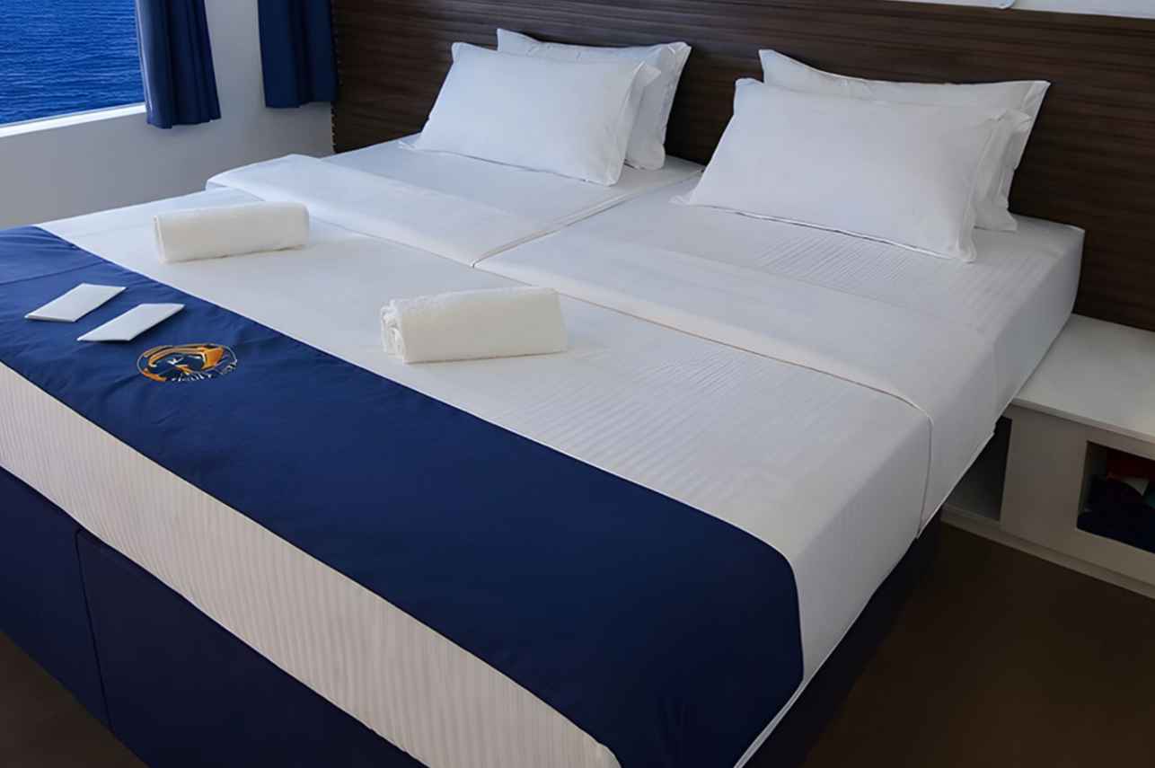 Cabin 11 - Superior Cabin - Convertible Bed - Upperr Deck
