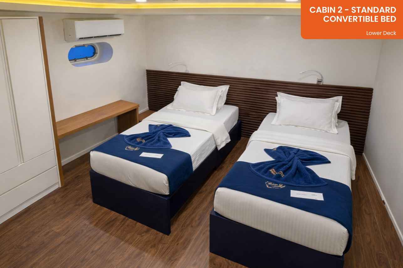 Cabin 2 - Standard Cabin - Convertible Bed - Lower Deck