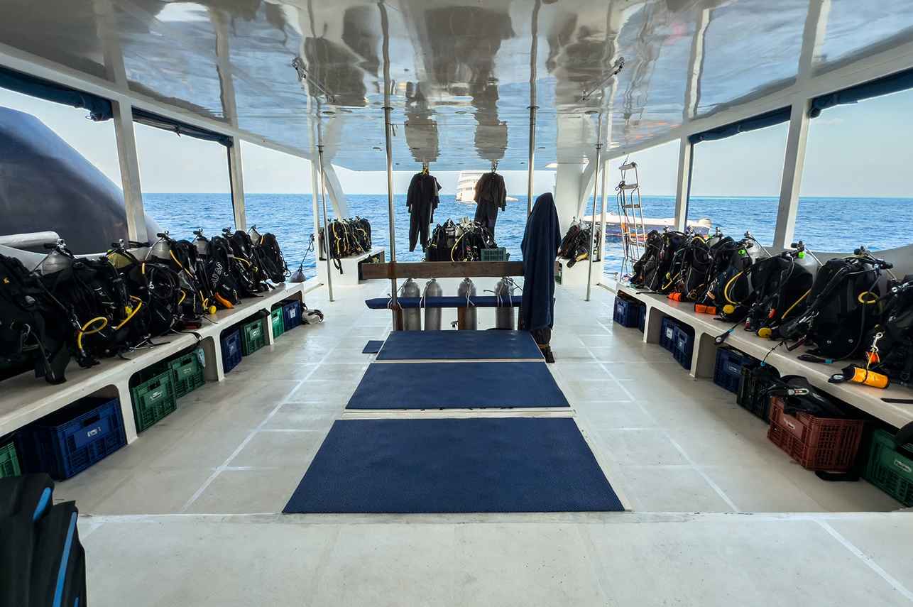 Dhoni - Dune Black Manta