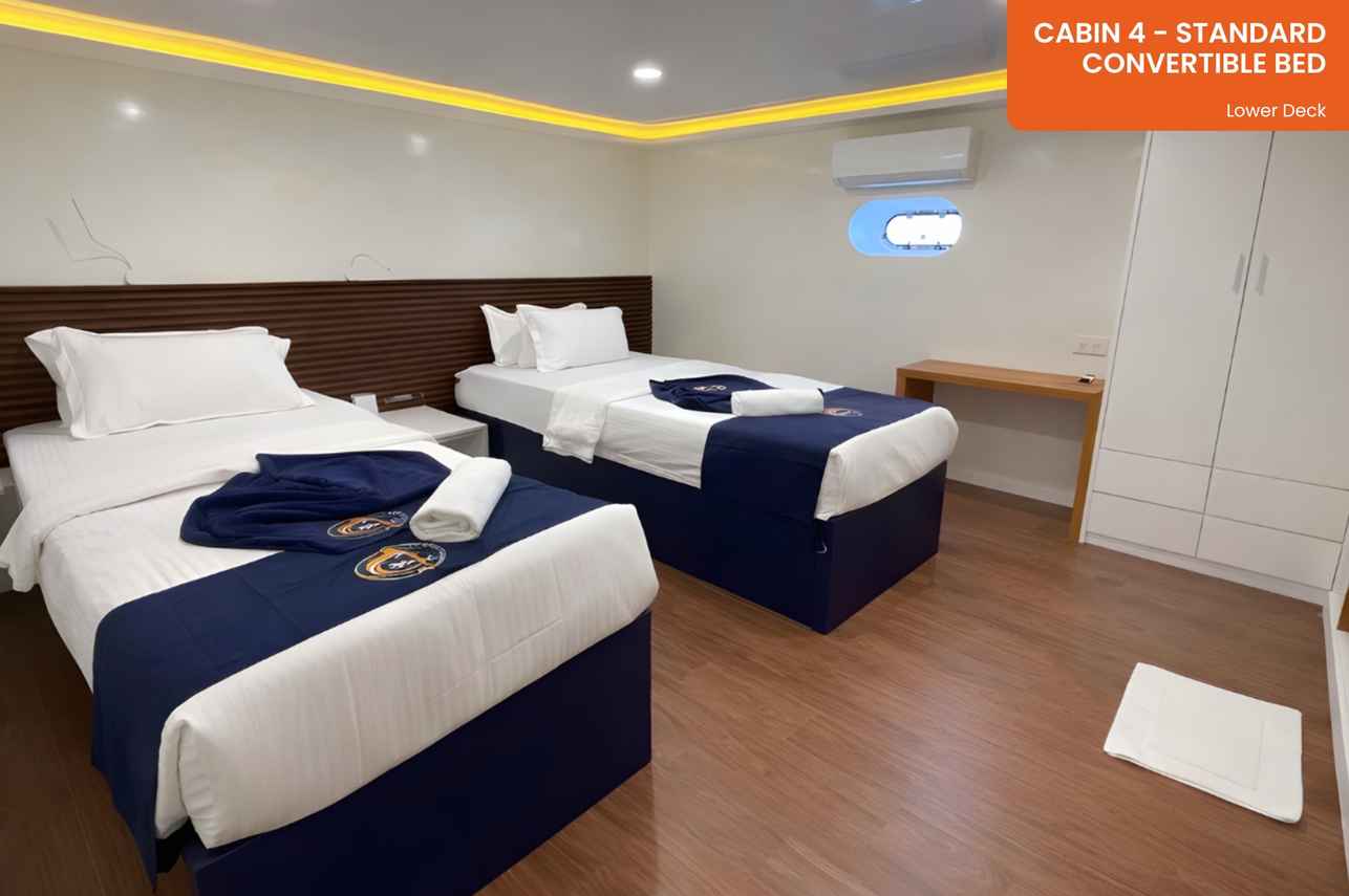 Cabin 4 - Standard Cabin - Convertible Bed - Lower Deck