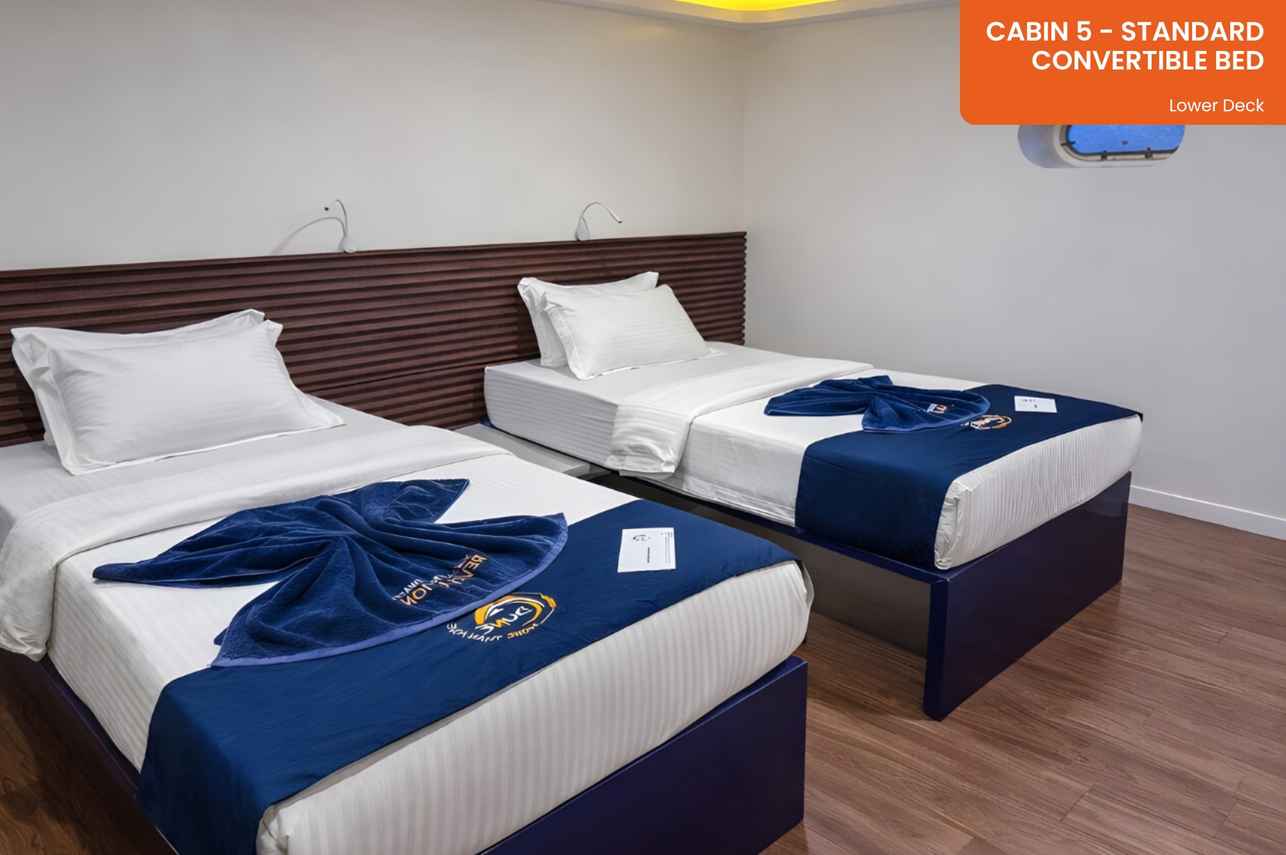 Cabin 5 - Standard Cabin - Convertible Bed - Lower Deck