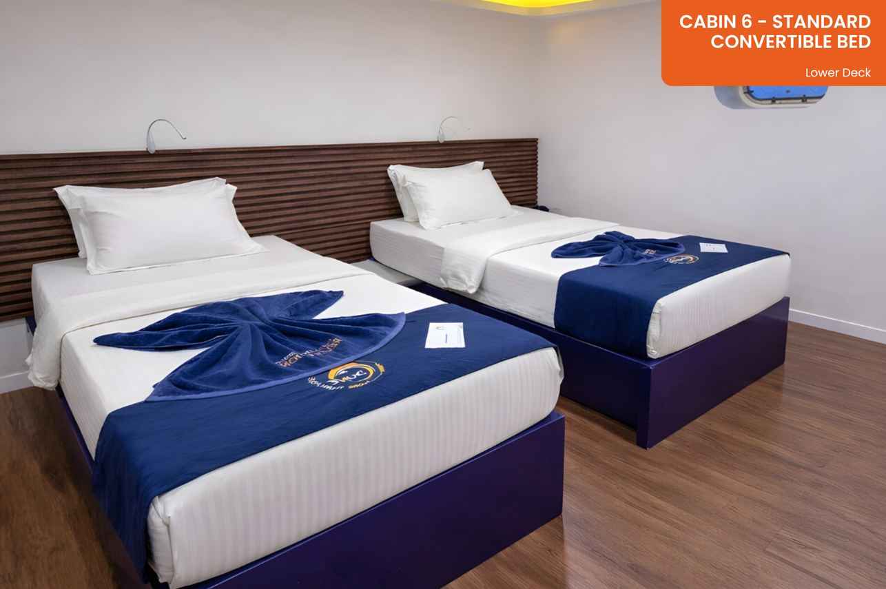 Cabin 6 - Standard Cabin - Convertible Bed - Lower Deck