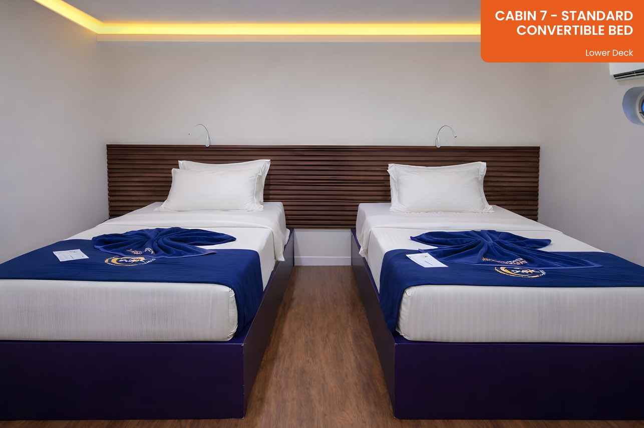 Cabin 7 - Standard Cabin - Convertible Bed - Lower Deck