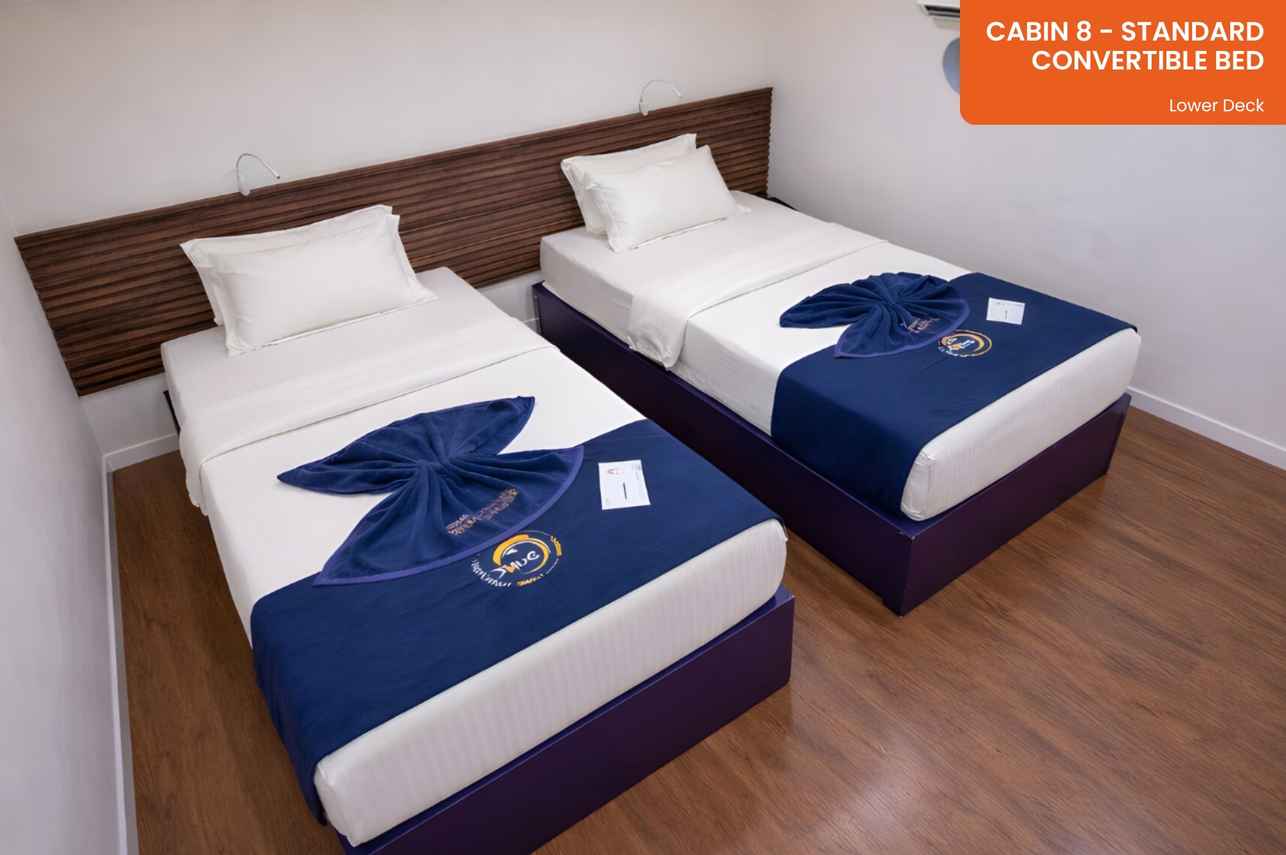 Cabin 8 - Standard Cabin - Convertible Bed - Lower Deck