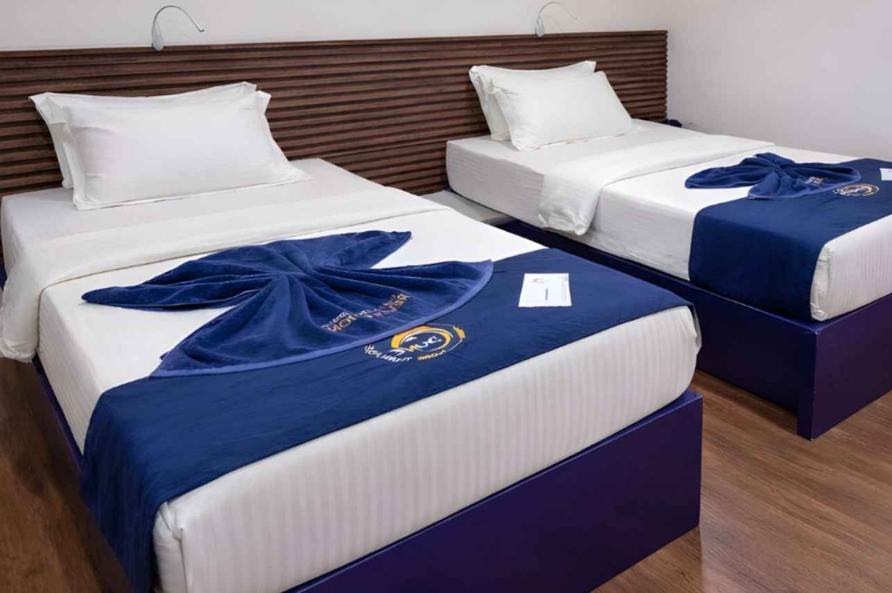 Cabin 6 - Standard Cabin - Convertible Bed - Lower Deck