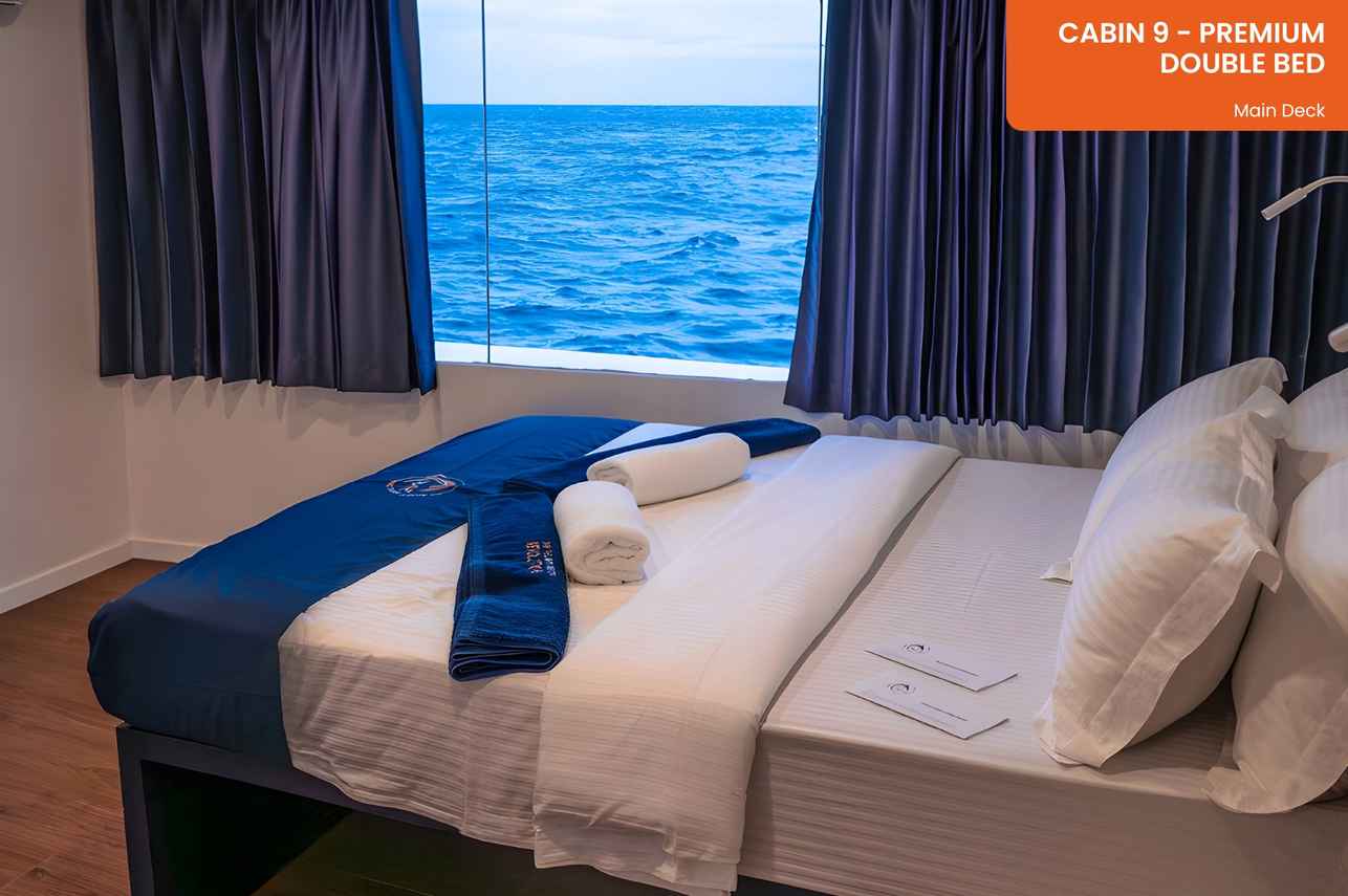 Cabin 9 - Premium Cabin - Double Bed - Main Deck