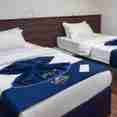 Cabin 5 - Standard Cabin - Convertible Bed - Lower Deck