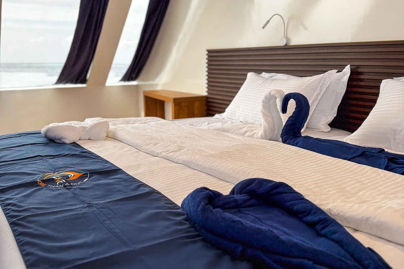 Seaview Cabin - Black Manta