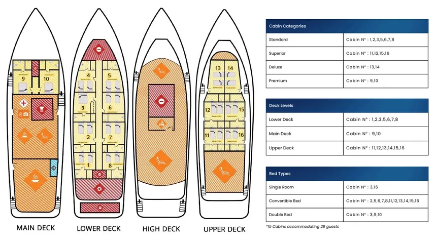 disposizione del ponte
