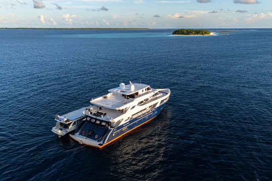 Black Manta Maldives