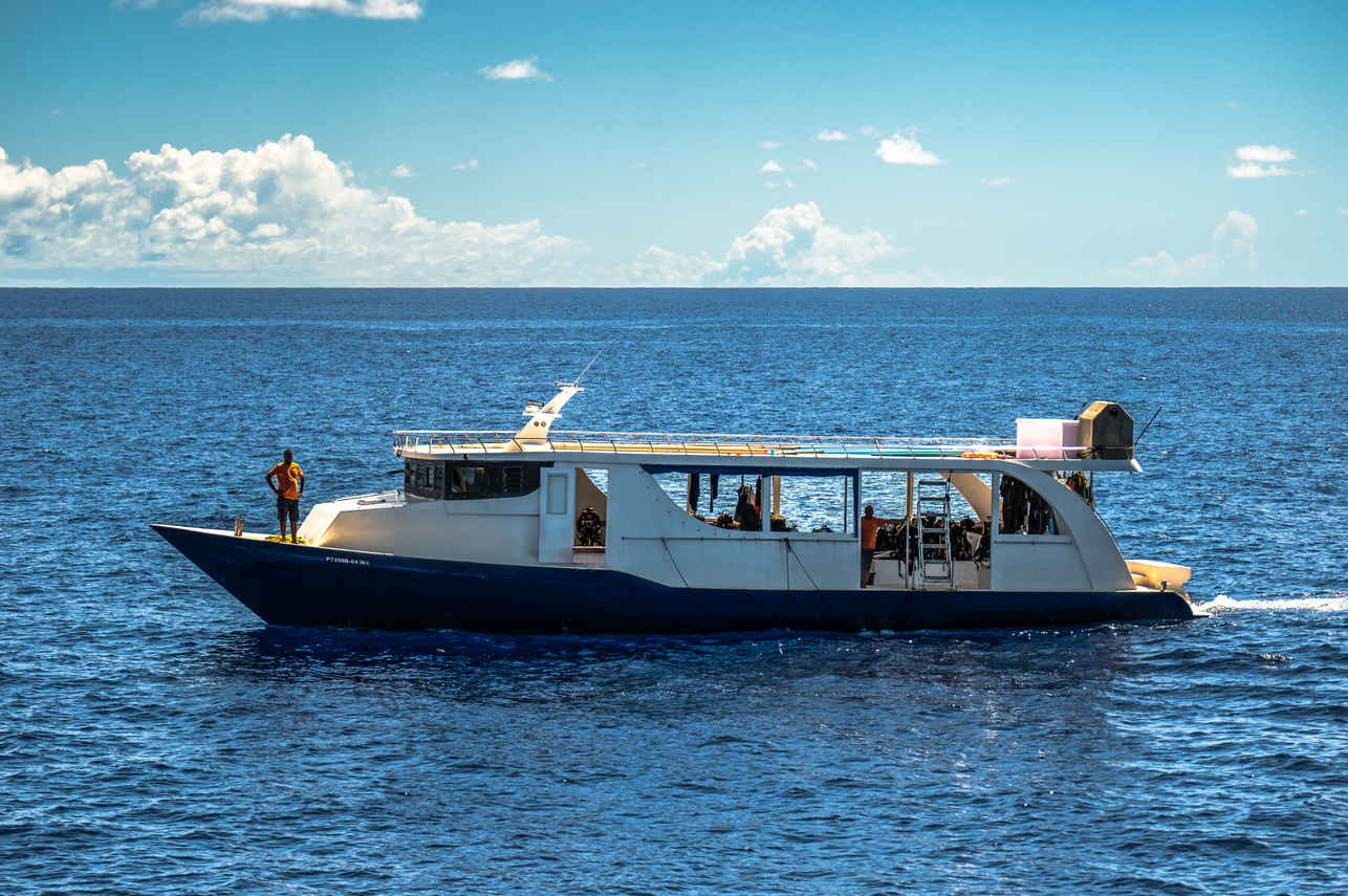 Dhoni - Dune Black Manta