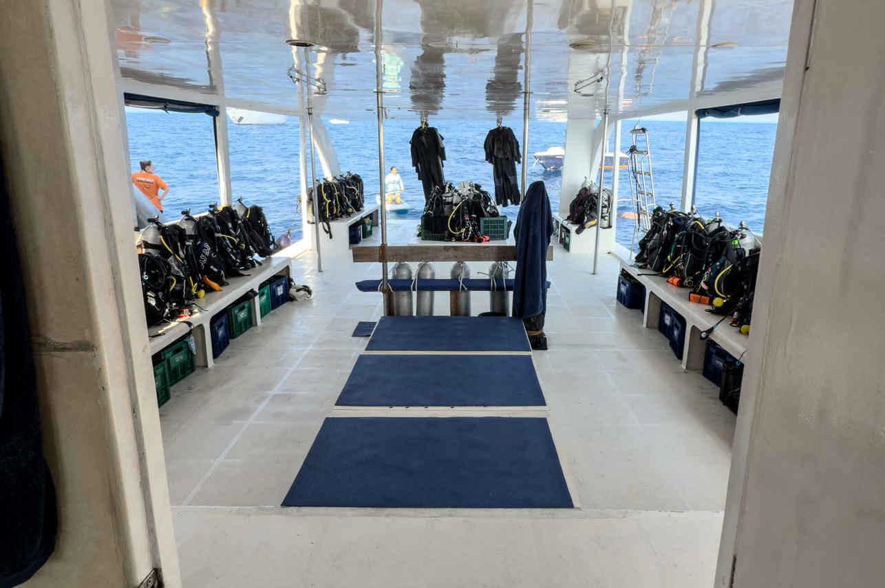 Dhoni - Dune Black Manta