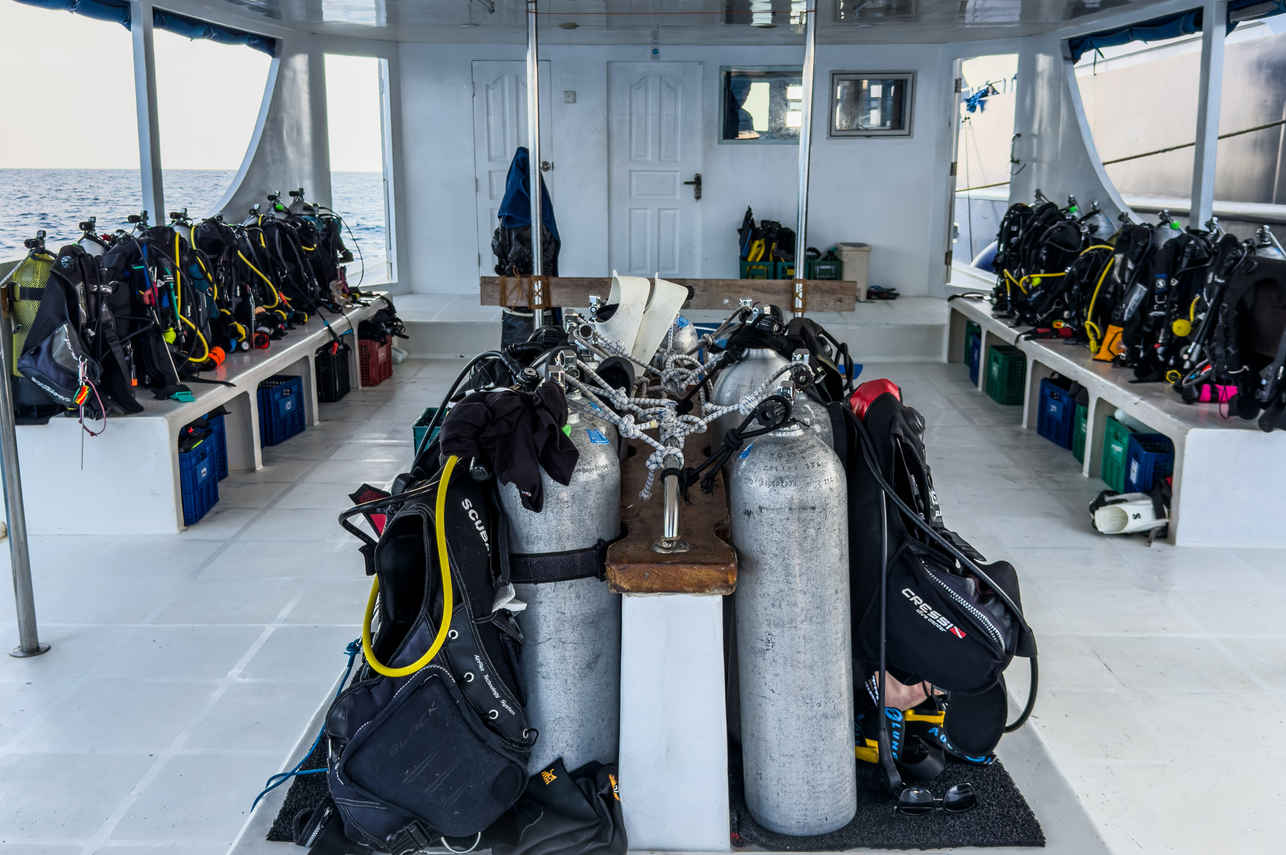 Dhoni - Dune Black Manta