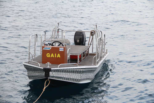 Tender boat