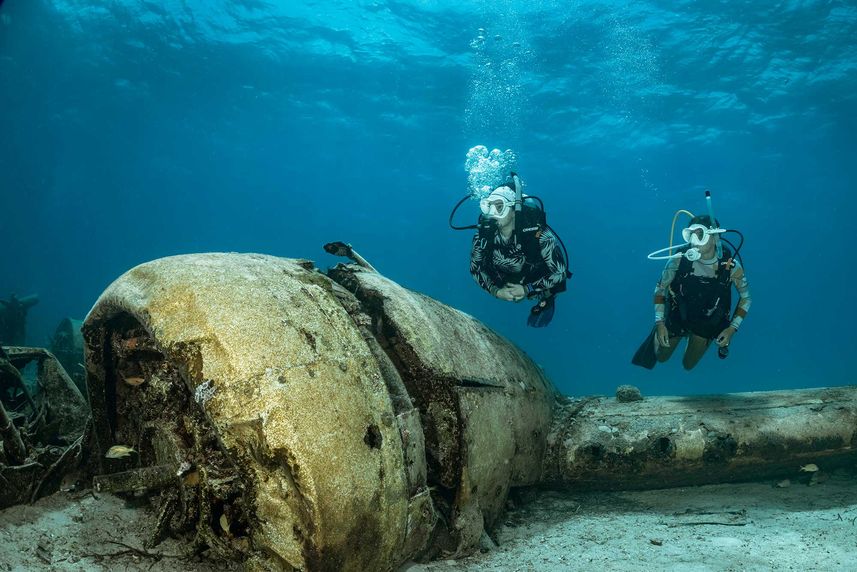 Vida Marinha - Bahamas Aggressor II