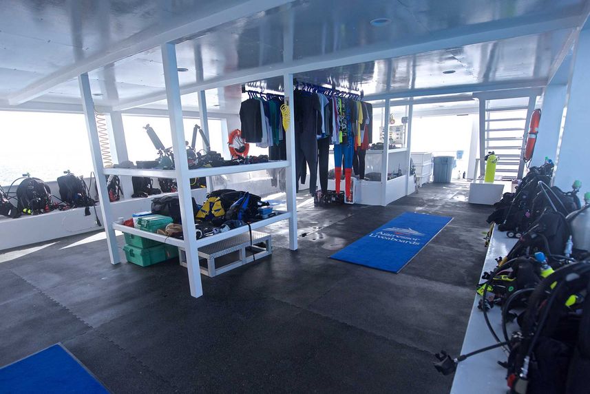 Dive deck - Bahamas Aggressor II