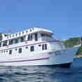Seatopia