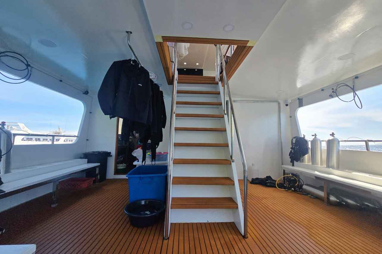 Plateforme de plongée - Seatopia