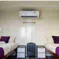 Cabine twin - Seatopia