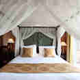 Signature Suite