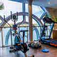 Gym - Moon Goddess