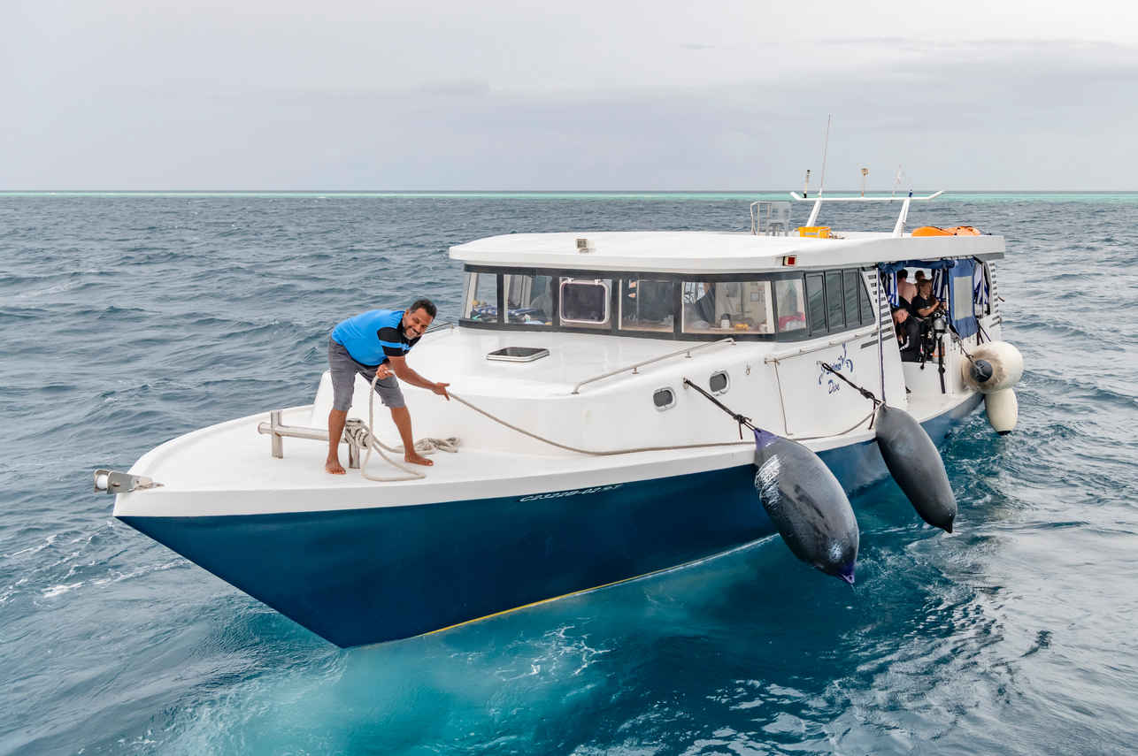 #tendersfordiving - Spirit of Maldives