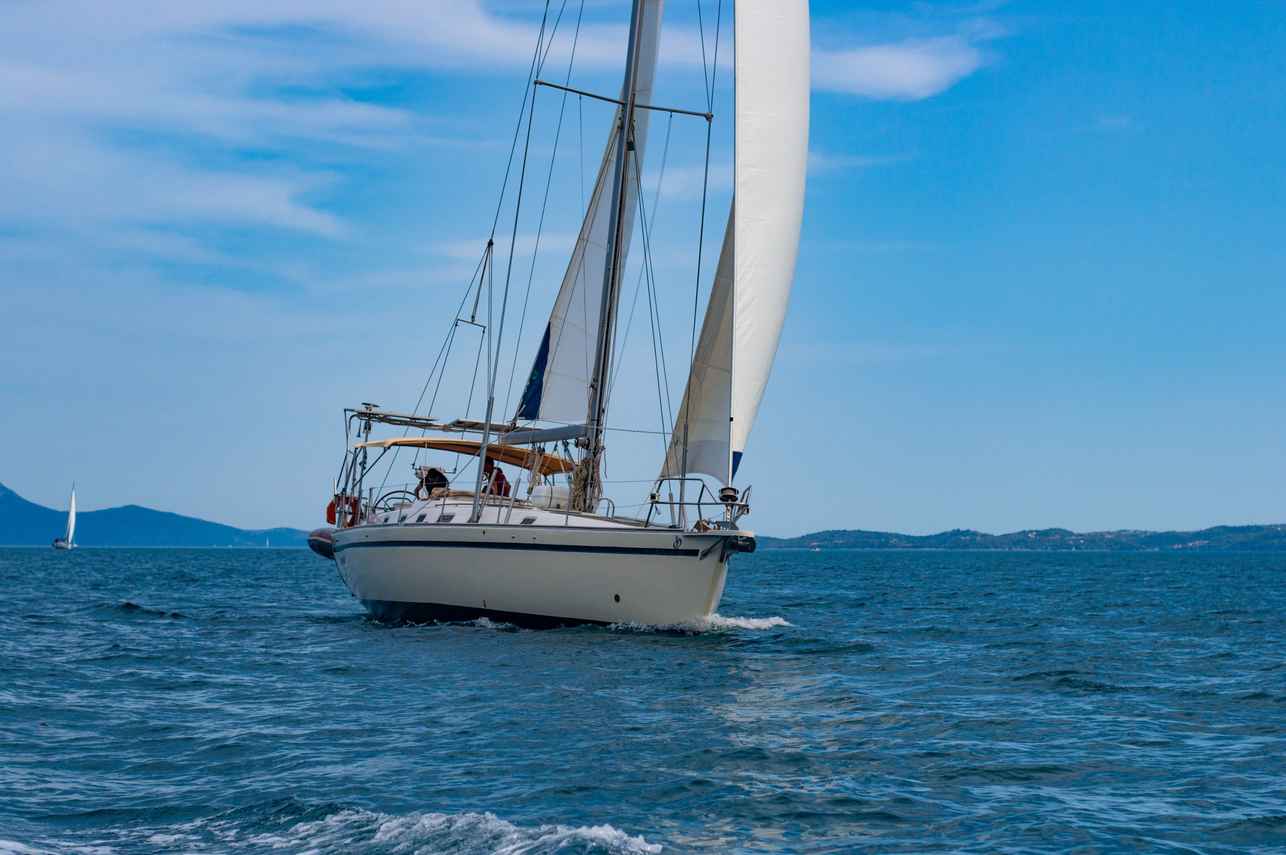 Blue Marlin