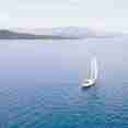 Blue Marlin