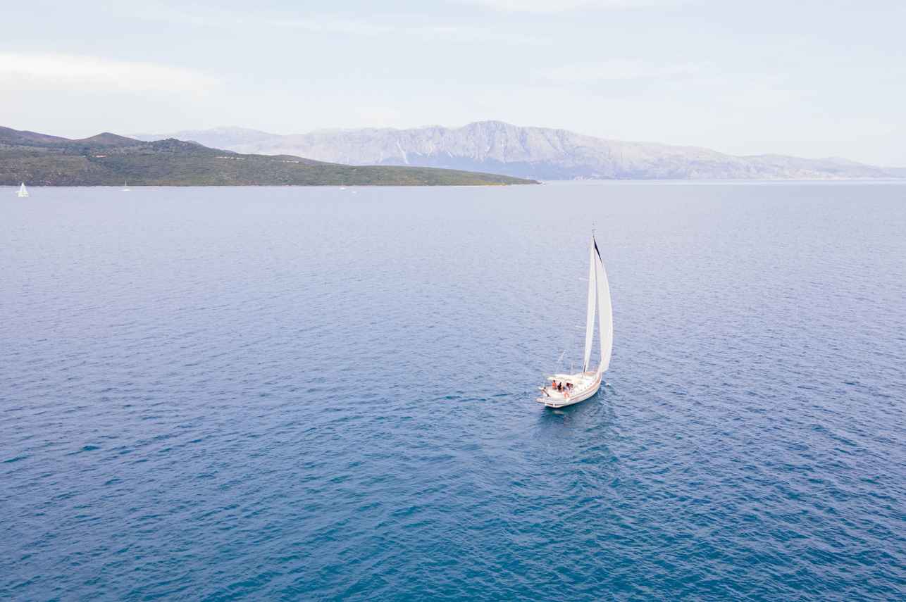 Blue Marlin