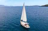 Blue Marlin