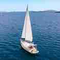 Blue Marlin