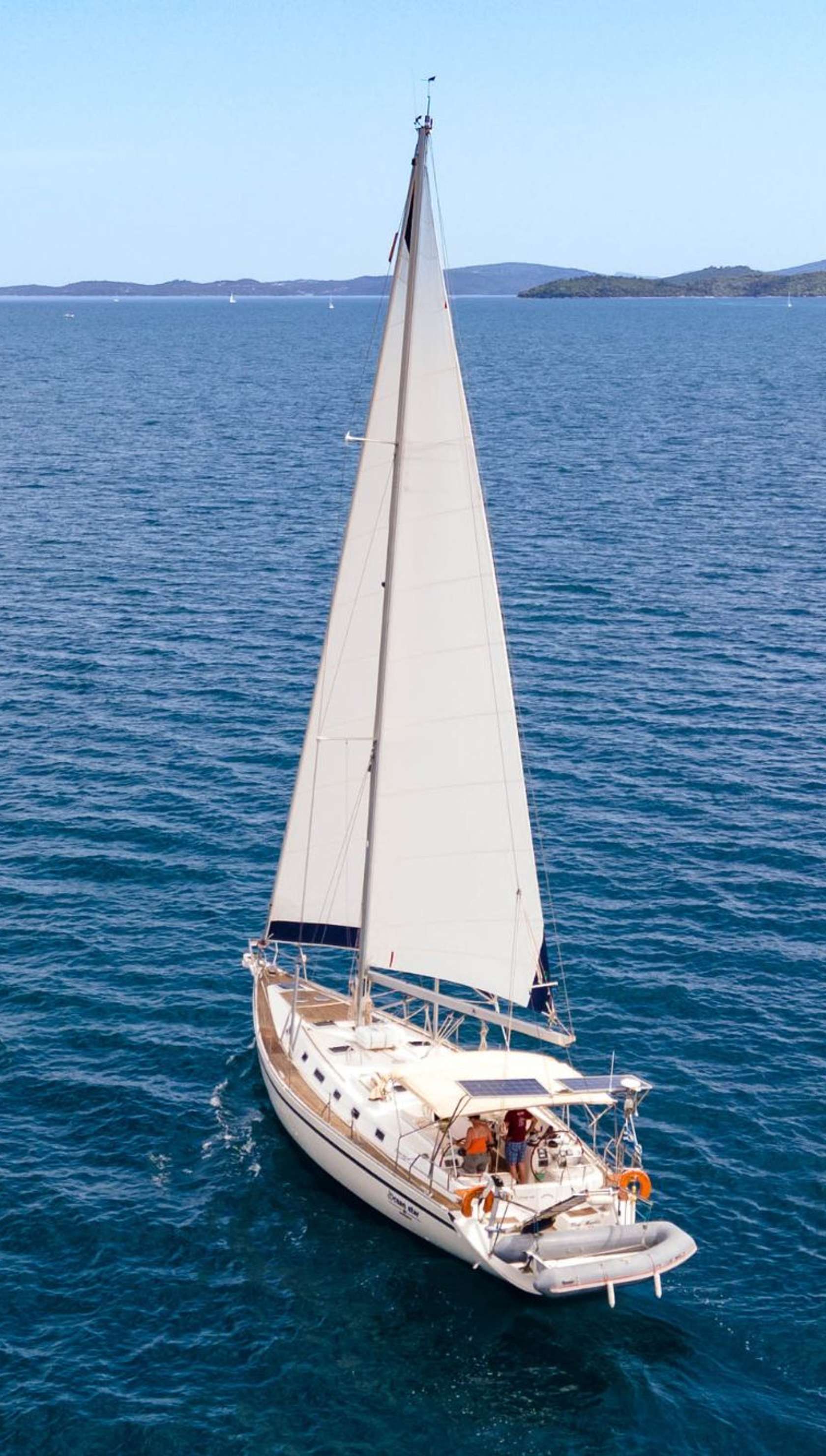 Blue Marlin