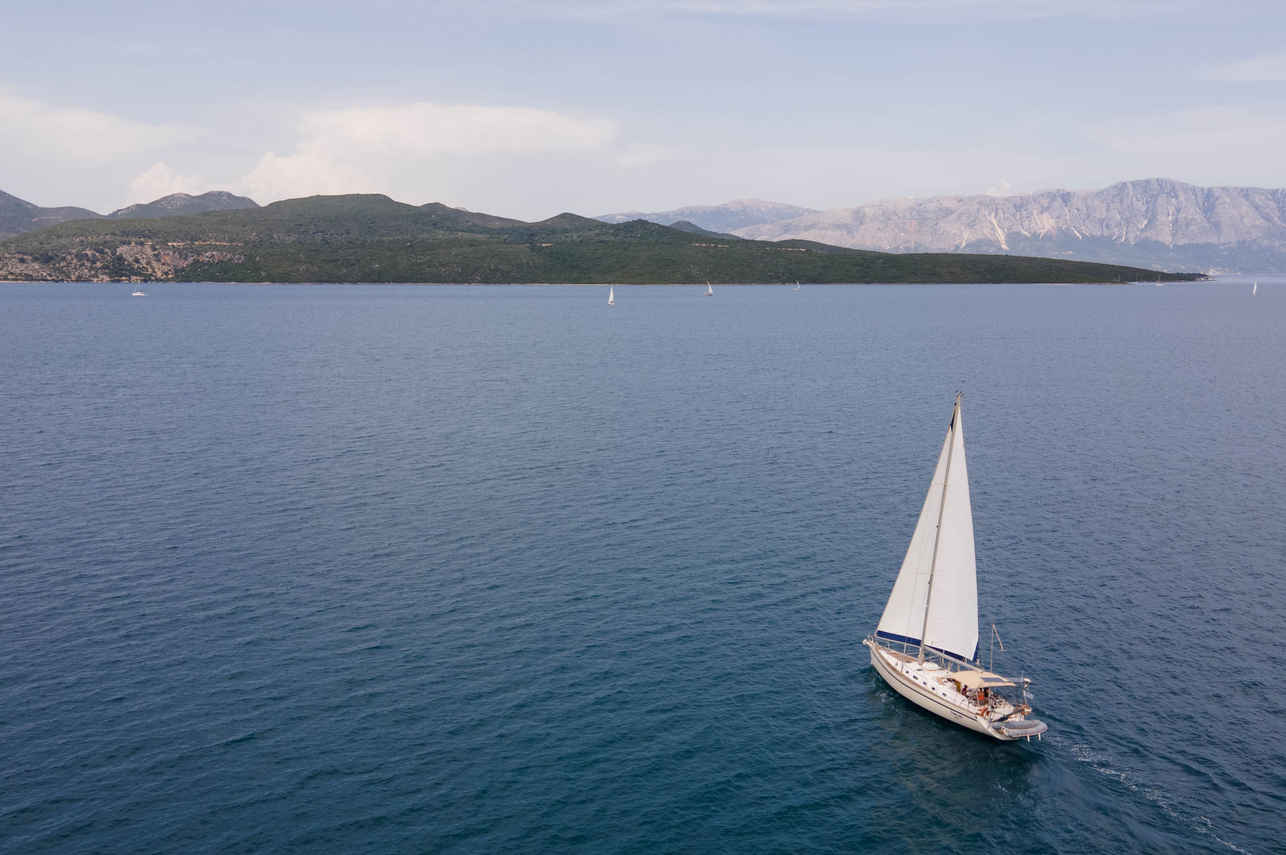 Blue Marlin