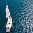 Blue Marlin