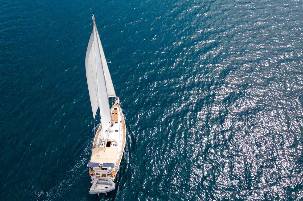 Blue Marlin