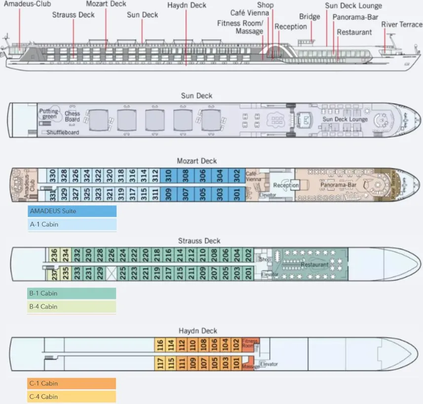 disposizione del ponte