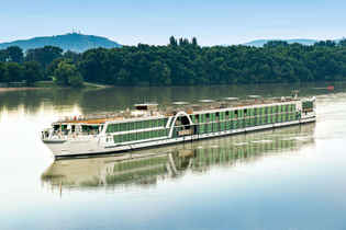 Amadeus Queen