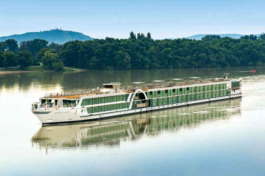 Amadeus Queen