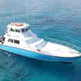 Shear Water