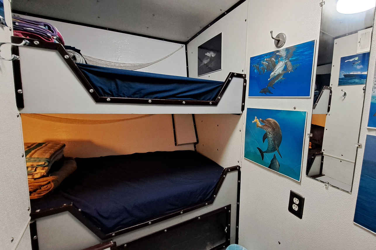 Standard Bunk Cabin - Shear Water