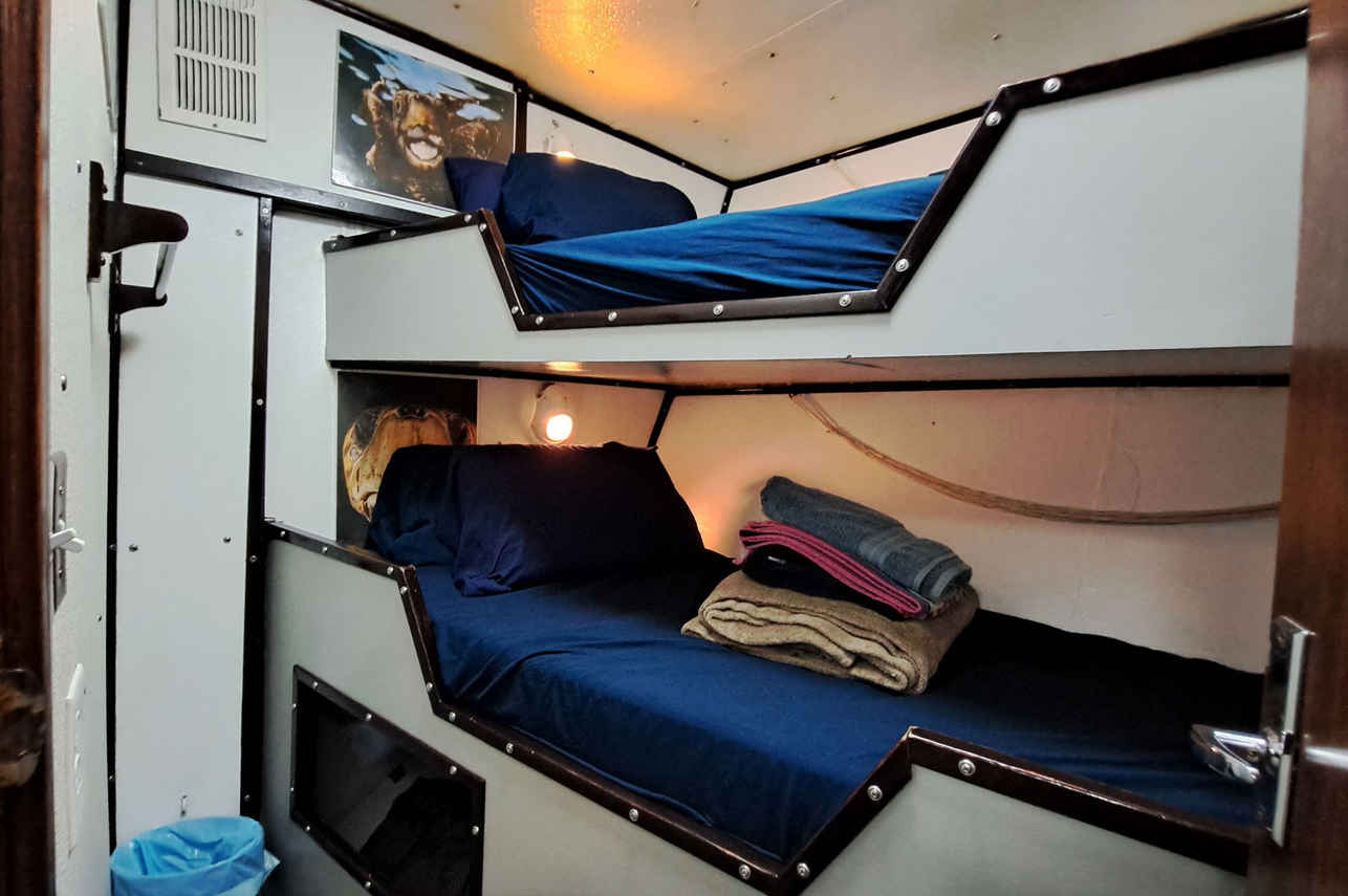 Standard Bunk Cabin - Shear Water