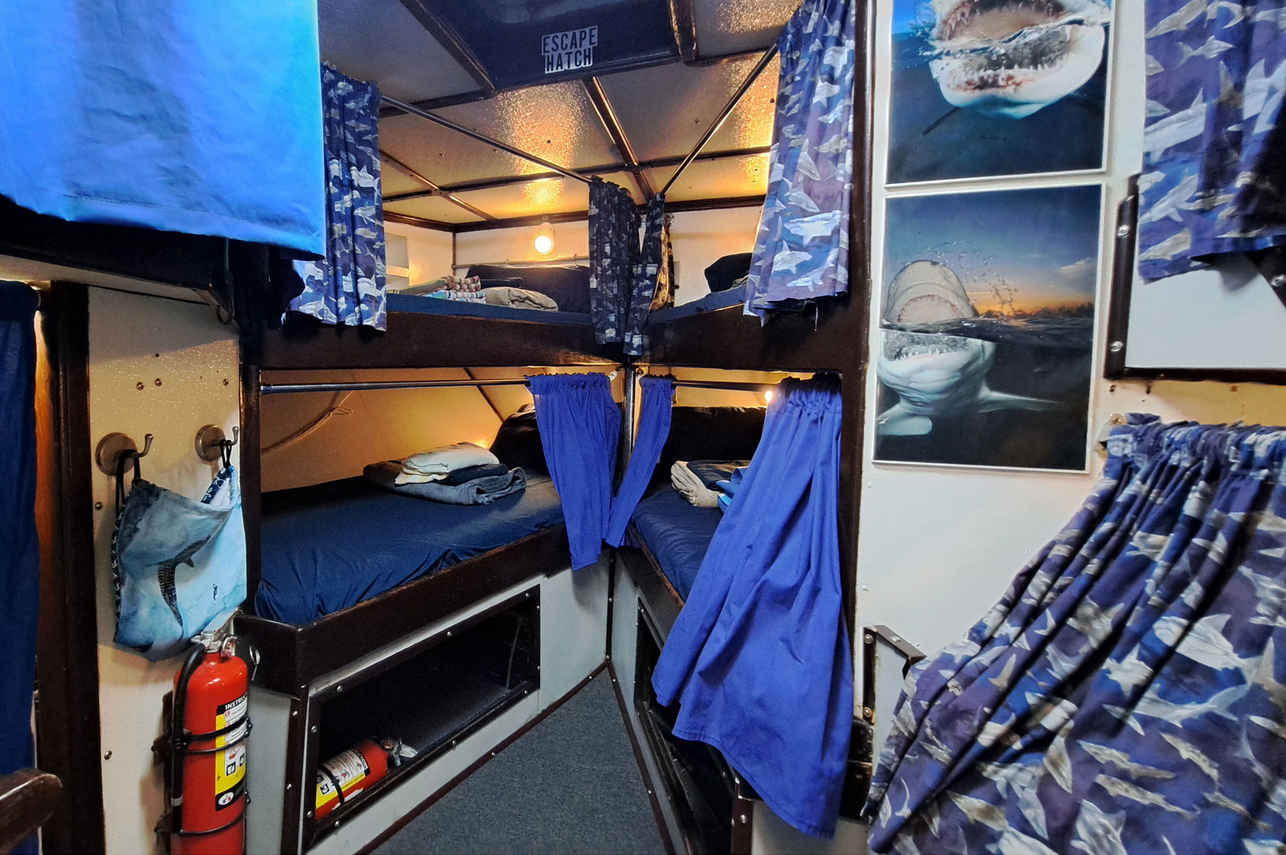 V - Berth Cabin