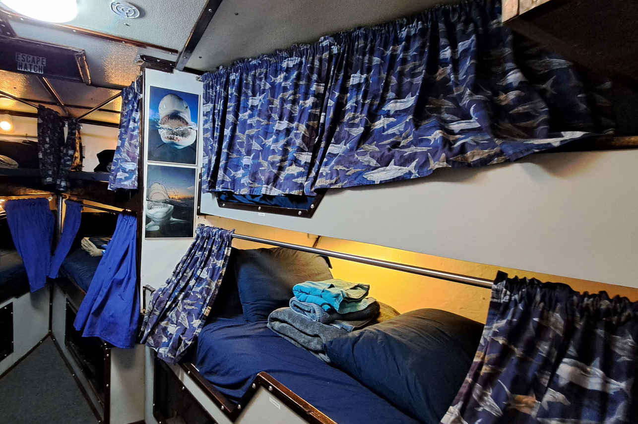V - Berth Cabin
