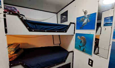 Standard Berth Cabin