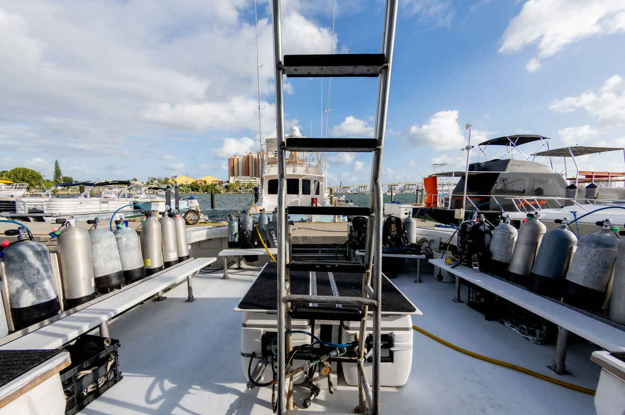 Dive deck - Shear Water