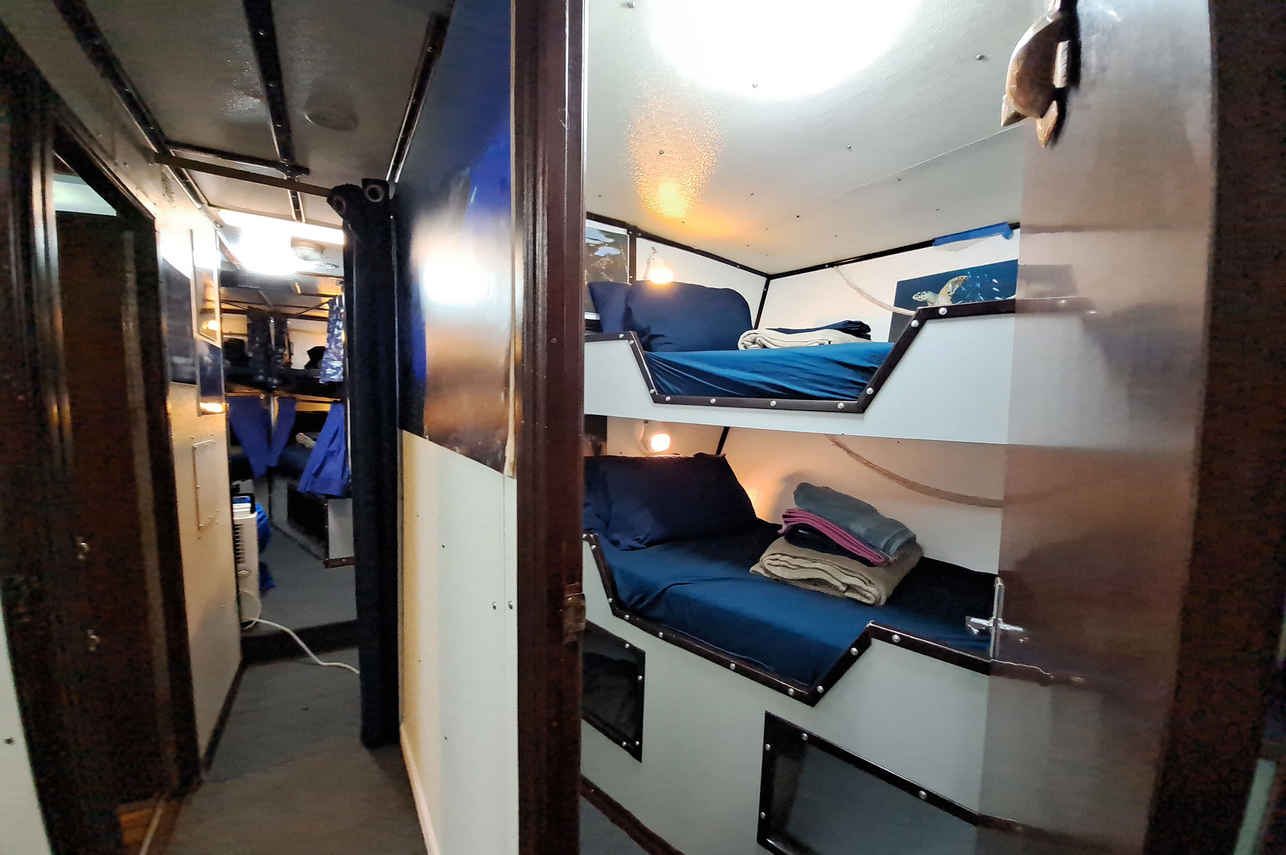 Standard Bunk Cabin - Shear Water