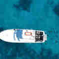 Shear Water