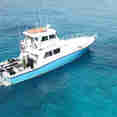 Shear Water