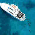 Shear Water