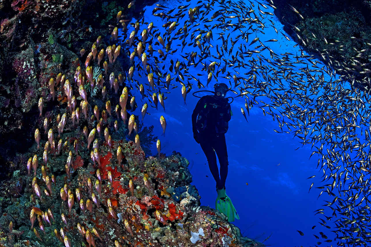 Diving